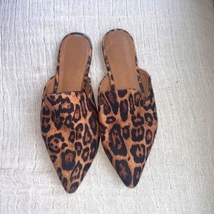 Cute leopard slide